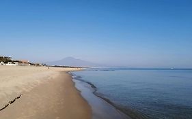 Holidays On The Beach